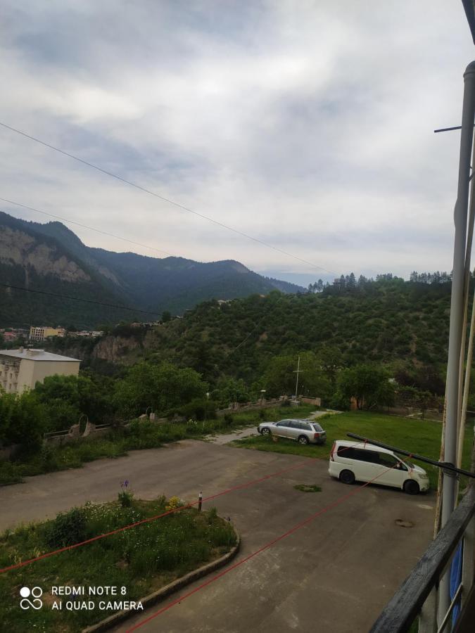 Панорама вид на горы Боржомі Екстер'єр фото