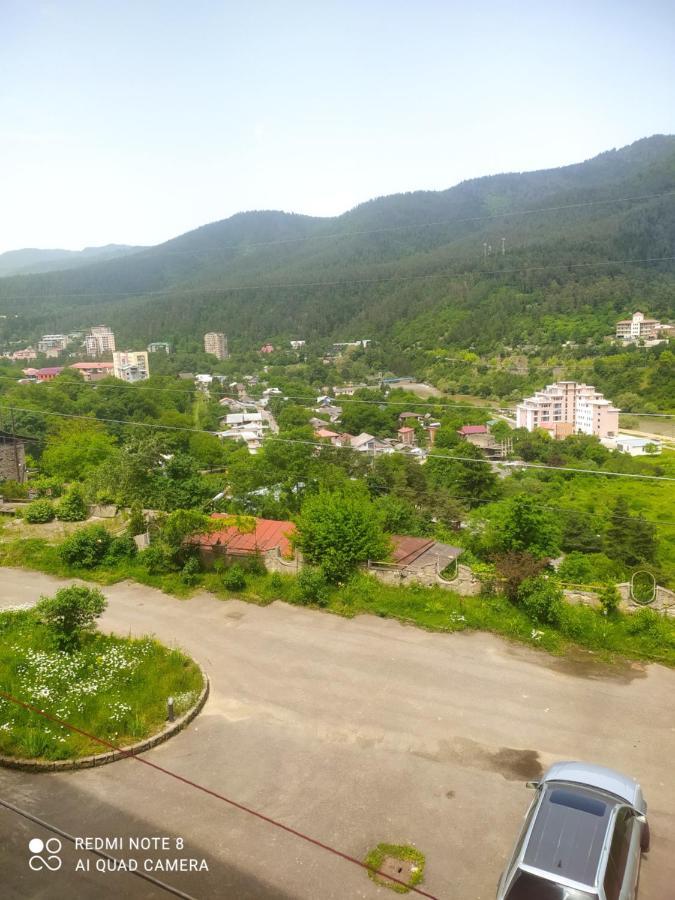 Панорама вид на горы Боржомі Екстер'єр фото