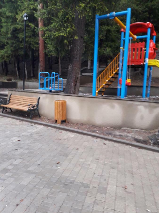 Панорама вид на горы Боржомі Екстер'єр фото