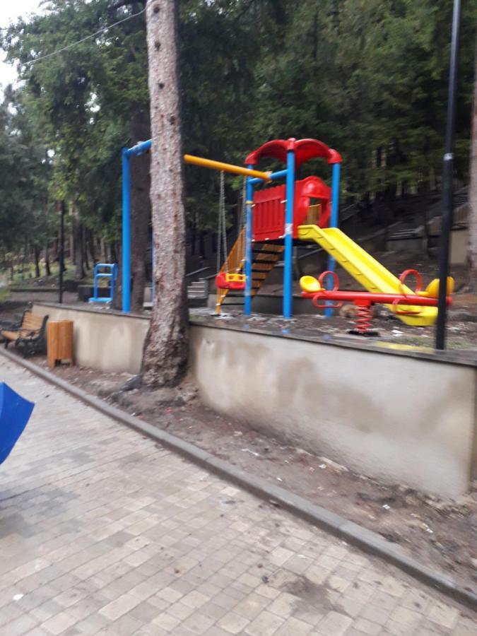 Панорама вид на горы Боржомі Екстер'єр фото