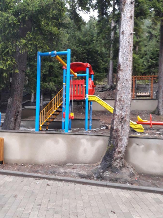 Панорама вид на горы Боржомі Екстер'єр фото