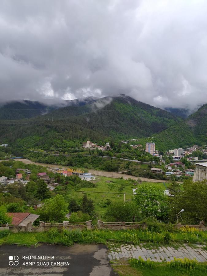 Панорама вид на горы Боржомі Екстер'єр фото